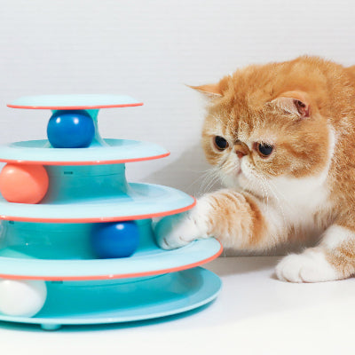Chase Meowtain Cat Track Toy