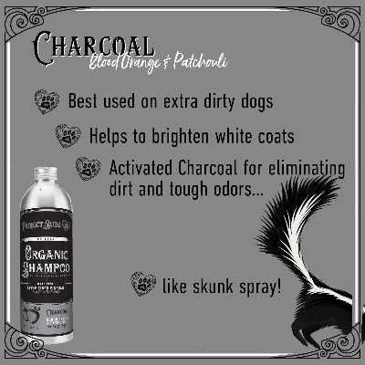A promotional graphic for Product Sudz Organic Shampoo in the Charcoal Blood Orange & Patchouli scent. The image features a bottle of dark gray shampoo on the left, accompanied by descriptive text on a matching dark gray background with decorative borders and a skunk illustration on the right.