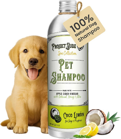 Project Sudz Pet Shampoo bottle shown next to a golden retriever puppy, with lemon slices, coconut halves, and a hanging tag reading '100% Natural Dog Shampoo' on a white background.