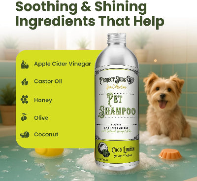 A bottle of Project Sudz Spa Collection Pet Shampoo stands in a bathtub with a small dog in the background, under the headline 'Soothing & Shining Ingredients That Help.' A bright yellow-green callout lists ingredients: Apple Cider Vinegar, Castor Oil, Honey, Olive, and Coconut.