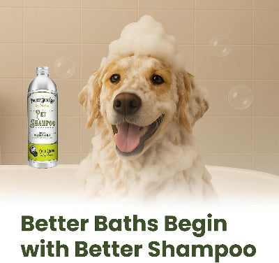 A golden retriever dog with white soap foam on its head sits in a bathtub next to a bottle of Project Sudz Pet Shampoo. The background shows beige tiled walls with floating bubbles, and the text 'Better Baths Begin with Better Shampoo' is displayed at the bottom.