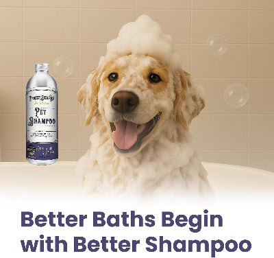 A golden retriever dog covered in white bath foam sits in a bathtub next to a bottle of Project Sudz Pet Shampoo. The background shows beige tiled walls with floating bubbles, and the text 'Better Baths Begin with Better Shampoo' is displayed at the bottom.
