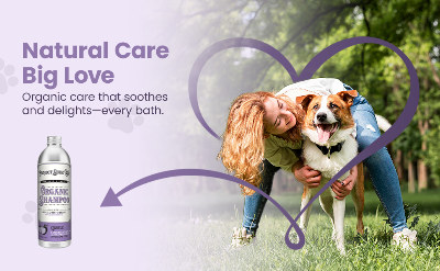 Promotional graphic for Pet Care Big Love organic shampoo, showing a bottle of the product on the left and a woman hugging her dog on a grassy park background on the right. Purple text reads 'Natural Care Big Love' and 'Organic care that soothes and delights—every bath.