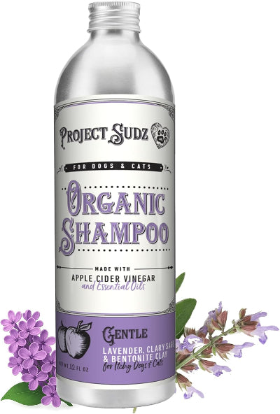 A silver bottle of Project Sudz Organic Shampoo for dogs and cats, featuring a lavender and white label. The bottle is decorated with purple lavender flowers and green leaves at the bottom, set against a plain white background.