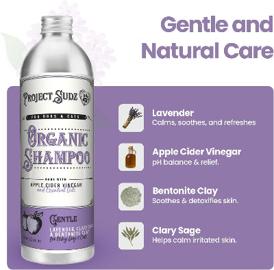Project Sudz Organic Shampoo bottle on a white background with a purple informational panel listing ingredients and benefits: lavender, apple cider vinegar, bentonite clay, and clary sage.