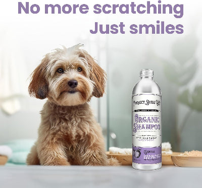 A small fluffy tan dog sits beside a bottle of Product Sudz Organic Shampoo against a soft, blurred indoor background. Large purple text at the top reads, 'No more scratching Just smiles.