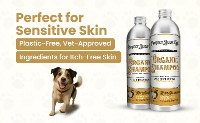 Two bottles of Project Sudz Organic Shampoo for dogs shown on a light off-white background with marketing text and a small dog photo. The bottles are silver with cream and tan labels, and the text reads 'Perfect for Sensitive Skin' and 'Plastic-Free, Vet-Approved Ingredients for Itch-Free Skin.