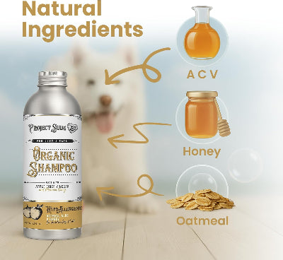 Project Sudz Co Organic Shampoo bottle shown with ingredient callouts including ACV, Honey, and Oatmeal, alongside a blurred dog in the background and the headline 'Natural Ingredients'.