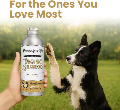 A hand holds a bottle of Project Sudz Organic Shampoo in front of a blurred outdoor scene with a black-and-white dog reaching toward it. Large text at the top reads, 'For the Ones You Love Most.