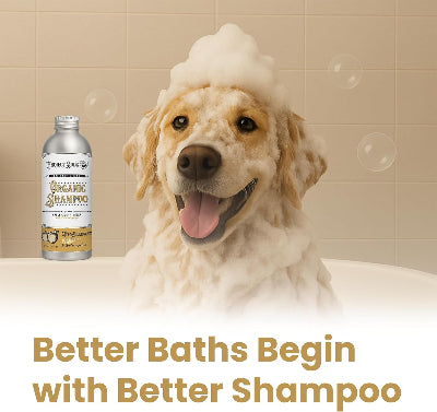 Project Sudz Hypoallergenic Shampoo.