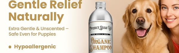 Project Sudz Hypoallergenic Shampoo.