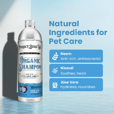Bottle of Project Sudz Organic Shampoo with natural ingredients listed on a blue background