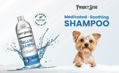 Project Sudz Organic Shampoo bottle shown with a splash effect on a white background, alongside a small tan dog and text reading 'Medicated Soothing SHAMPOO' and '100% Natural Plastic-Free Made in USA'.
