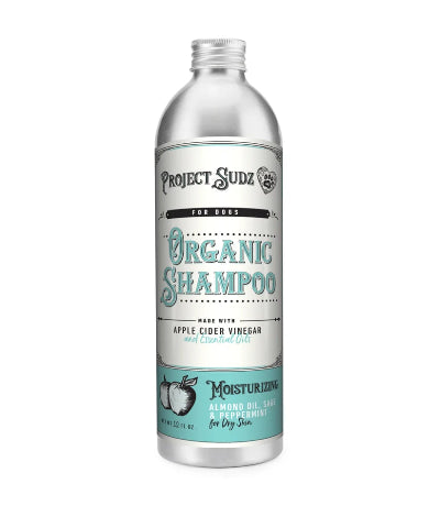 Project Sudz Organic Shampoo in a tall silver bottle with a white and teal label, shown on a plain white background.