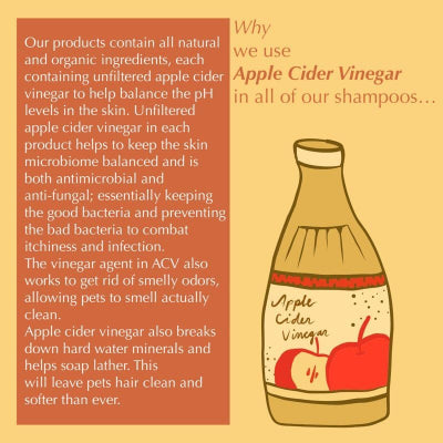 Illustration of an apple cider vinegar bottle with text explaining its use in products on a yellow background.