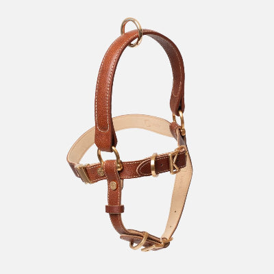 Brown leather dog harness on a light gray background