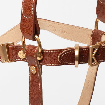 Brown leather dog harness with gold hardware on a light gray background