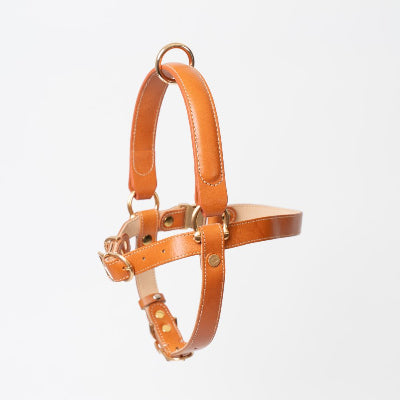 Tan/Brown leather dog harness on a light gray background