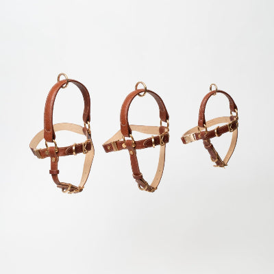 Three brown leather dog harnesses on a light gray background