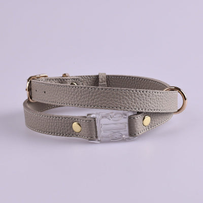 Gray leather dog harness with gold hardware on a light gray background