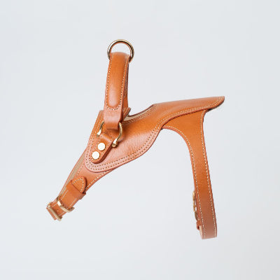 Tan leather harness on a light gray background