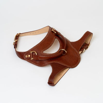 Brown leather harness with gold hardware on a white background