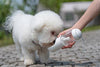 'PYURE' Handheld Travel Filtered Pet Water Feeder