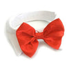 Doggie Design Red Satin Dog Bow Tie & Shirt Collar