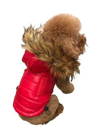 Ski Bunny Puffer with Detachable Hood