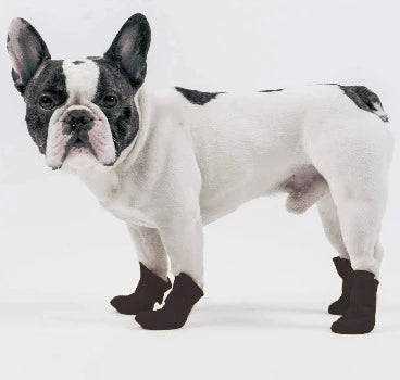 Pet Life ® Elastic Protective Multi-Usage All-Terrain Rubberized Dog Shoes-Black