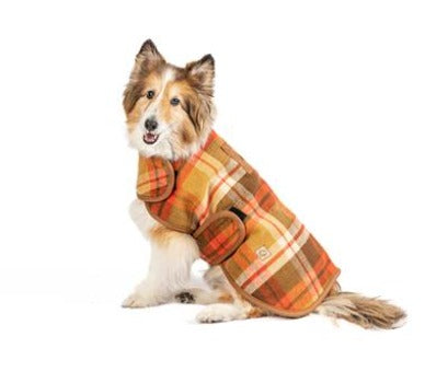 Dog wearing Chilly Dog Rust Plaid Blanket Coat
