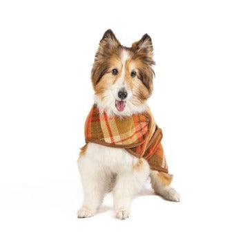 Dog wearing Chilly Dog Rust Plaid Blanket Coat