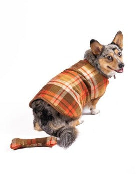 Dog wearing Chilly Dog Rust Plaid Blanket Coat