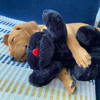 The Original Snuggle Puppy - Black