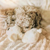 The Original Snuggle Puppy - Golden Retriever