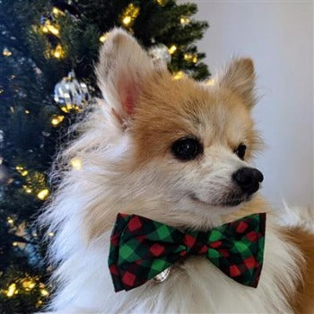 Huxley & Kent Green & Red Scottish Check Dog Bow Tie