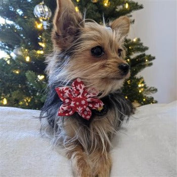 Huxley & Kent Snowflake Pinwheel Dog Collar Bow
