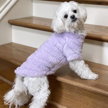 Doggie Design Lavender Soft Plush Pullover Top