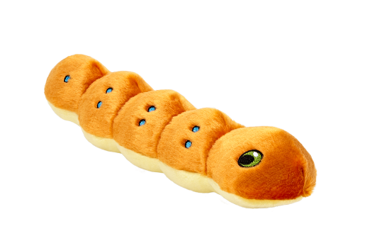 Fluff & Tuff Orange Spicy Caterpillar Dog Toy