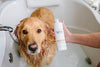 Spina Organics Hydrating Dog Body Wash