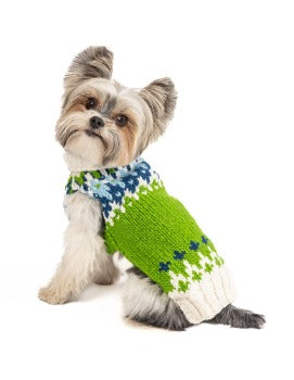 Dog wearing green Chilly Dog Spring Ski dog sweater