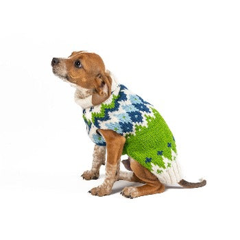 Dog wearing green Chilly Dog Spring Ski dog sweater