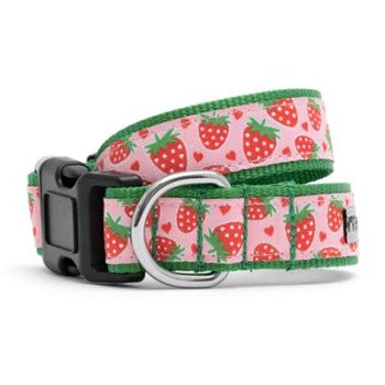 The Worthy Dog Strawberries Dog Collar
