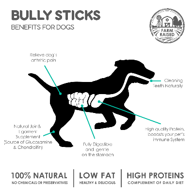 Diagram of a dog with text detailing benefits of bully sticks for dogs, including Farm Raised logo.