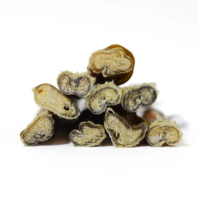 Cut end of 6" Jumbo bully stick dog chew on a white background