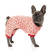 French Bulldog wearing Fuzzyard Hey There Sweetie Dog Pajamas