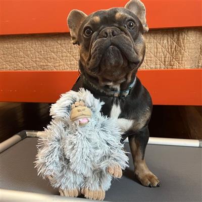 Tall Tails Plush Yeti Dog Toy