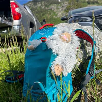 Tall Tails Plush Yeti Dog Toy
