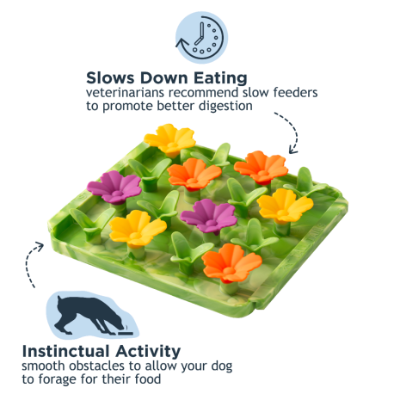 Dog puzzle feeder with flowers on a white background