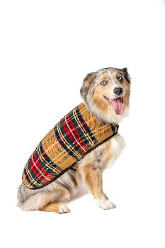 Dog Wearing Chilly Dog Tan Tartan Plaid Dog Coat